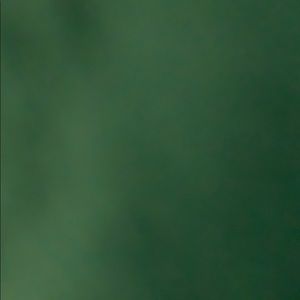 Meet your Posher, Pardeep